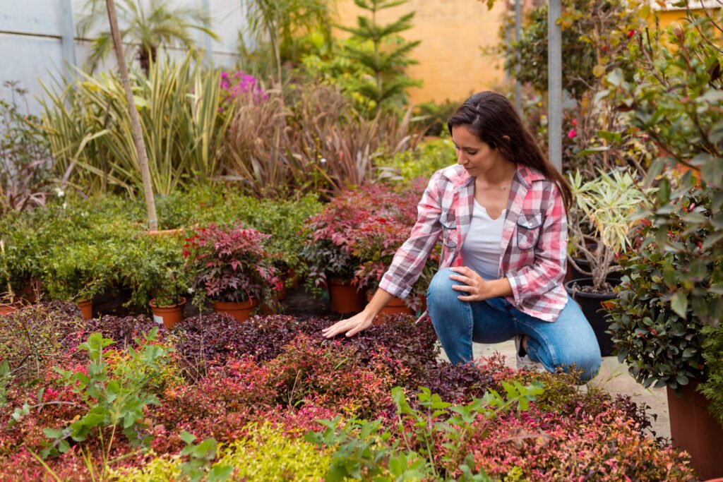 Benefits of a Well-Planned Garden Layout