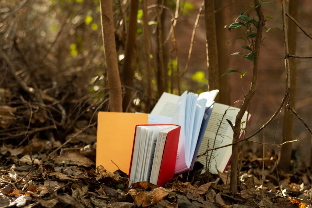 What Types of Used Books Can You Find?