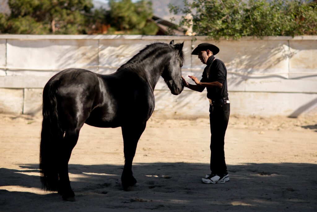 How old are Preakness horses?