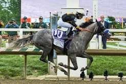 Who won the Preakness 2026?