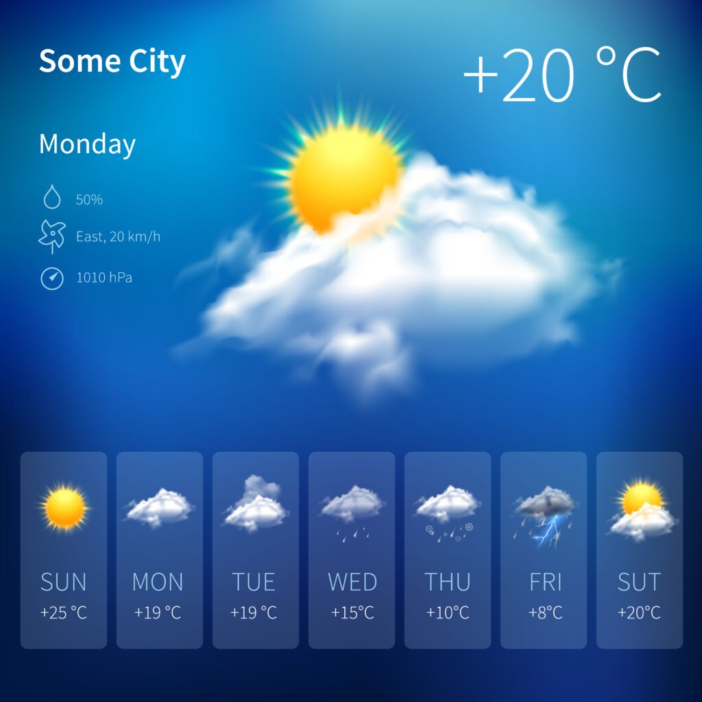 Key Features of MSN Weather